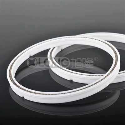 PTFE رود ختم الربيع تنشيط الختم