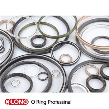 الأختام قضيب PTFE المحملة بنابض متري