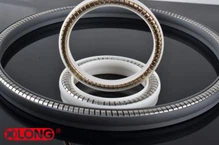 PTFE ربيع تنشيط ختم الشفاه