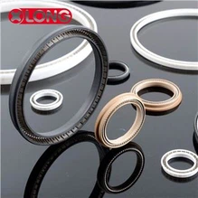 PTFE ربيع تنشيط ختم للوقود والغاز فوهة