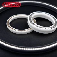 ربيع تنشيط PTFE المكبس الأختام