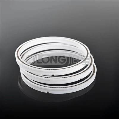 ختم الشفاه العذراء PTFE